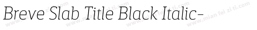 Breve Slab Title Black Italic字体转换